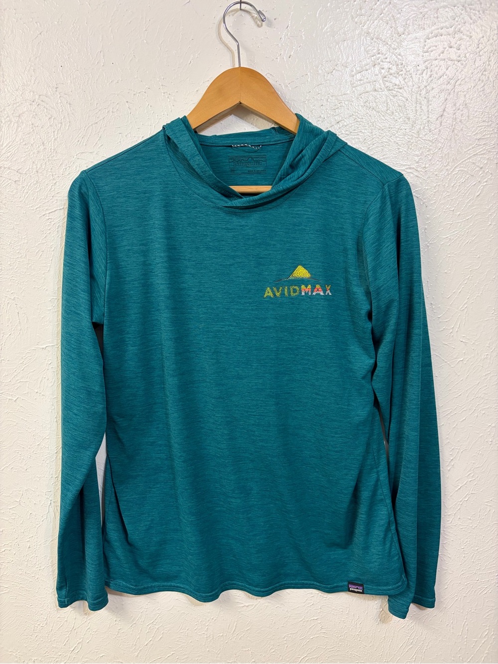 Patagonia x AvidMax Teal Hooded Long-Sleeve Pullover for Women